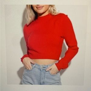 Kittenish Cropped Sweater/Turtleneck